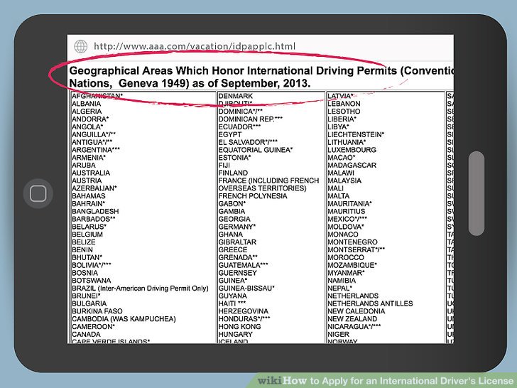 International Driving Application Form
